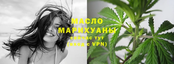 молекула духа Вяземский