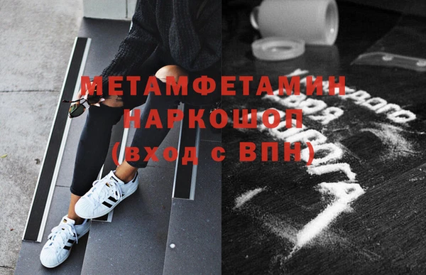 молекула духа Вяземский