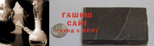молекула духа Вяземский