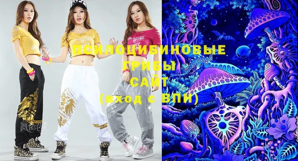 молекула духа Вяземский