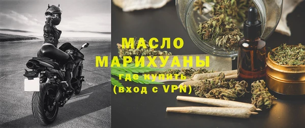 молекула духа Вяземский