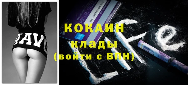 молекула духа Вяземский